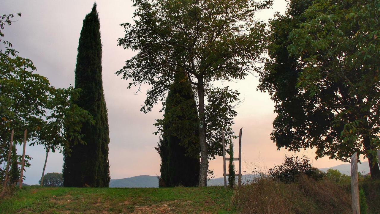 Soci Agriturismo Casa Agricola Rossi Appartamenti In Casentino מראה חיצוני תמונה