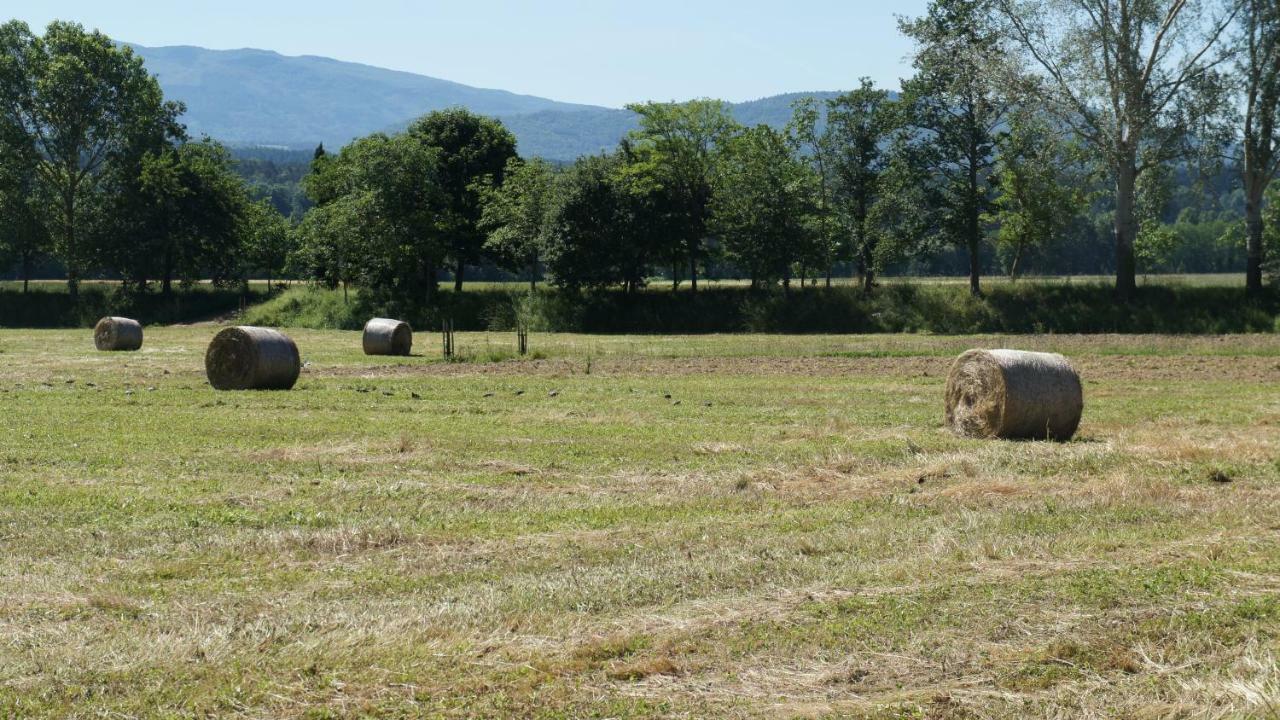Soci Agriturismo Casa Agricola Rossi Appartamenti In Casentino מראה חיצוני תמונה