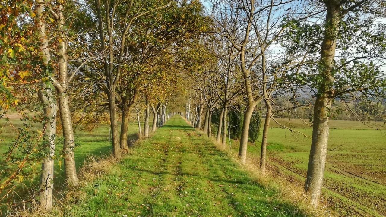 Soci Agriturismo Casa Agricola Rossi Appartamenti In Casentino מראה חיצוני תמונה
