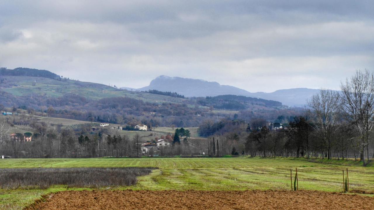 Soci Agriturismo Casa Agricola Rossi Appartamenti In Casentino מראה חיצוני תמונה