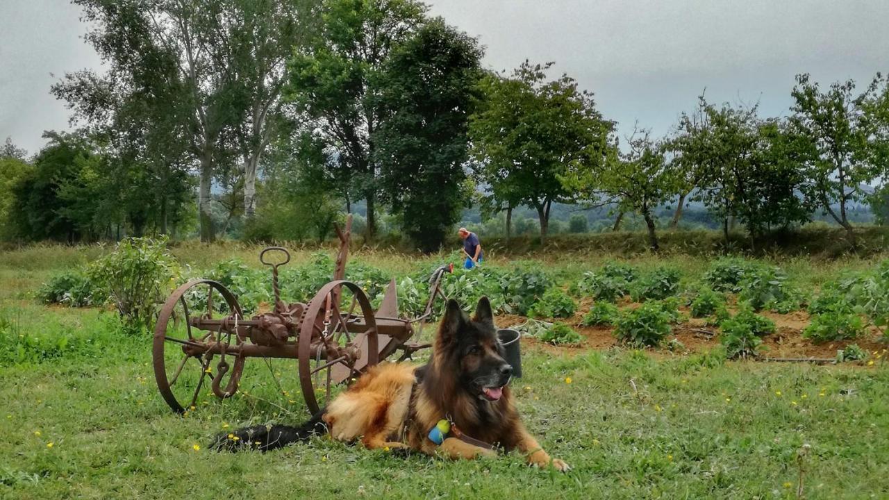 Soci Agriturismo Casa Agricola Rossi Appartamenti In Casentino מראה חיצוני תמונה
