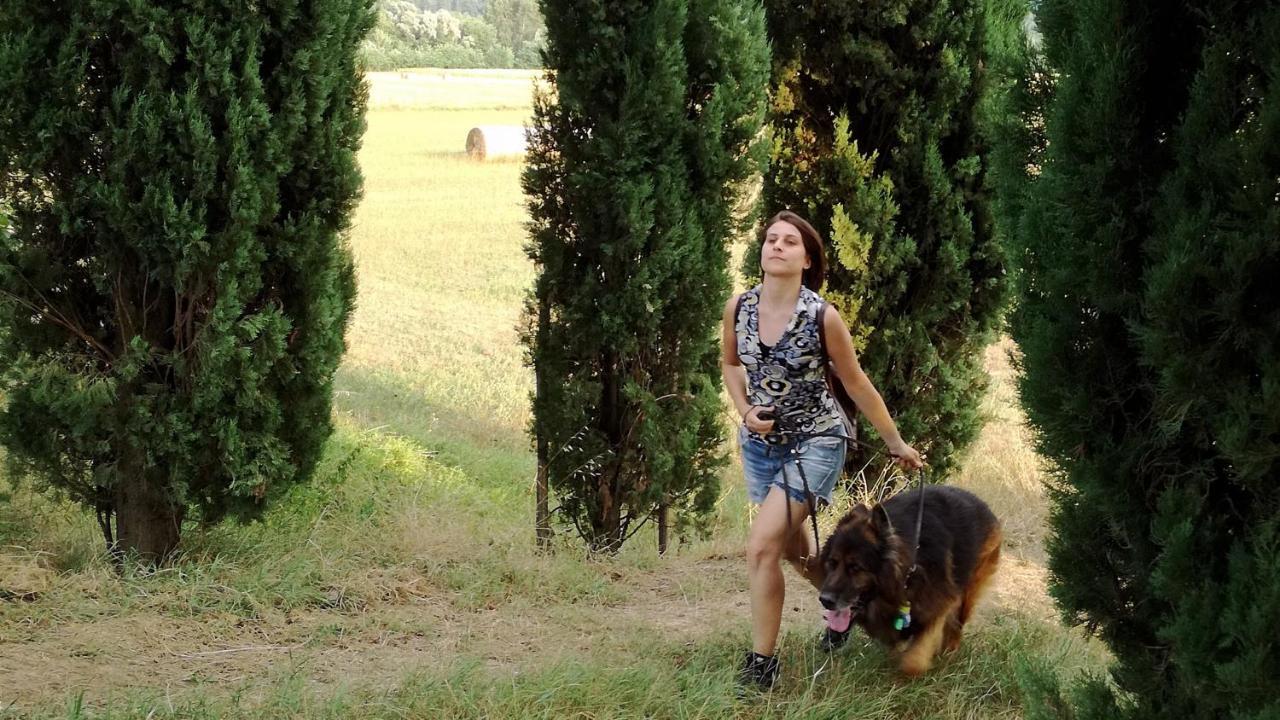 Soci Agriturismo Casa Agricola Rossi Appartamenti In Casentino מראה חיצוני תמונה