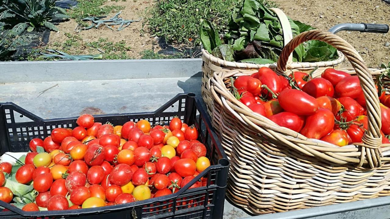 Soci Agriturismo Casa Agricola Rossi Appartamenti In Casentino מראה חיצוני תמונה